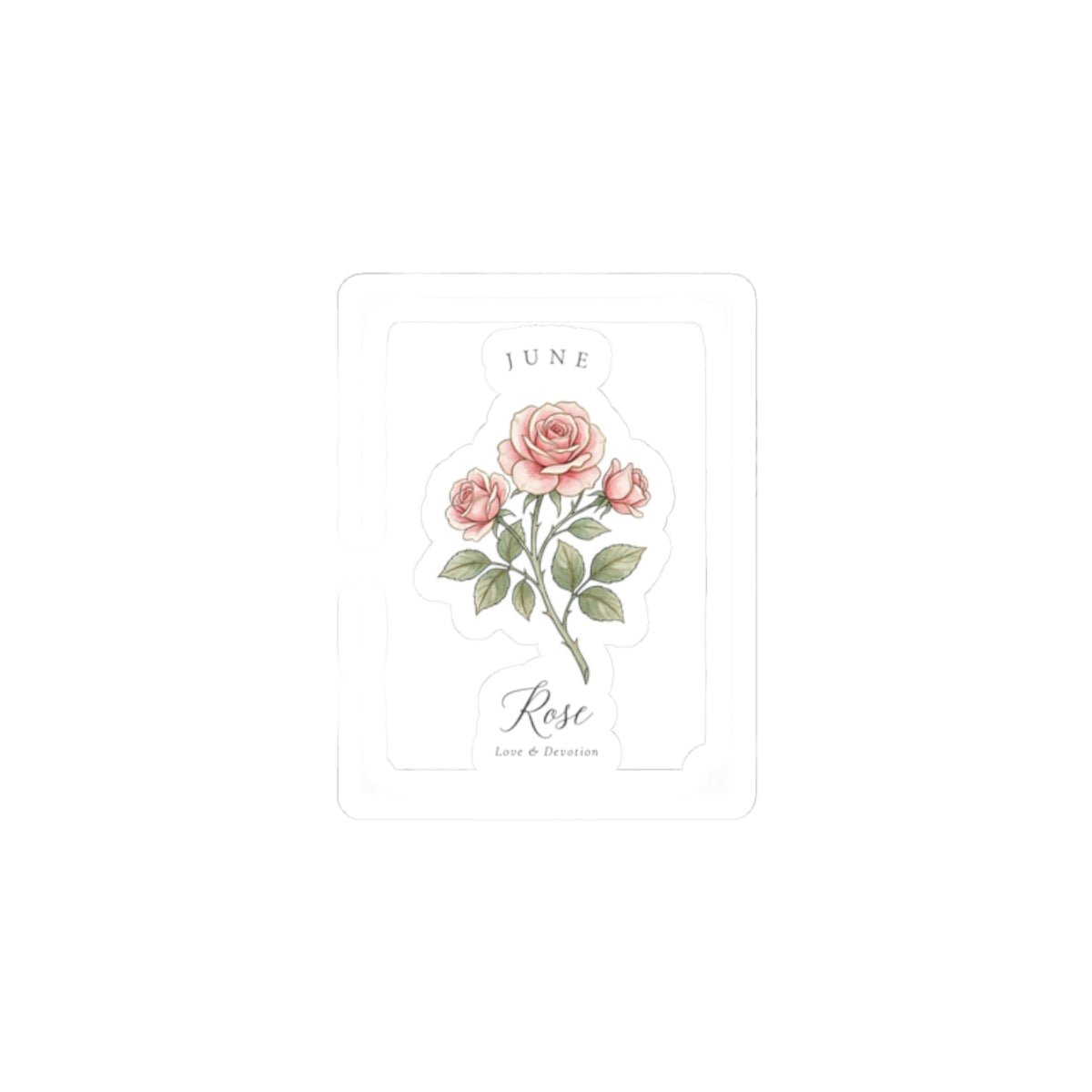 June Rose Birth Month Botanical Kiss-Cut Stickers | Watercolor Line Art, Personalized - Babytopia32
