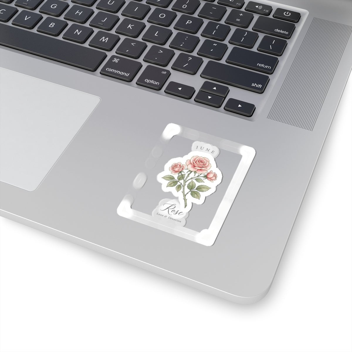 June Rose Birth Month Botanical Kiss-Cut Stickers | Watercolor Line Art, Personalized - Babytopia32