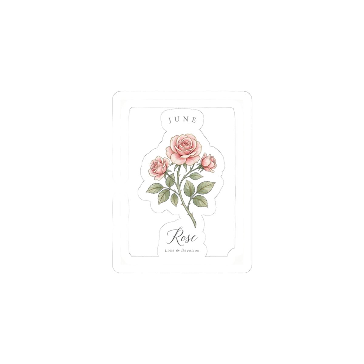 June Rose Birth Month Botanical Kiss-Cut Stickers | Watercolor Line Art, Personalized - Babytopia32